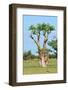 Moringa Tree-Karel Gallas-Framed Photographic Print