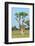 Moringa Tree-Karel Gallas-Framed Photographic Print