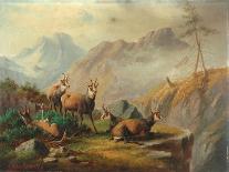 Wild Boar in the Black Forest, 1880-Moritz Muller-Framed Stretched Canvas