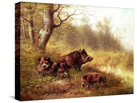 Stretched Canvas Print, , large