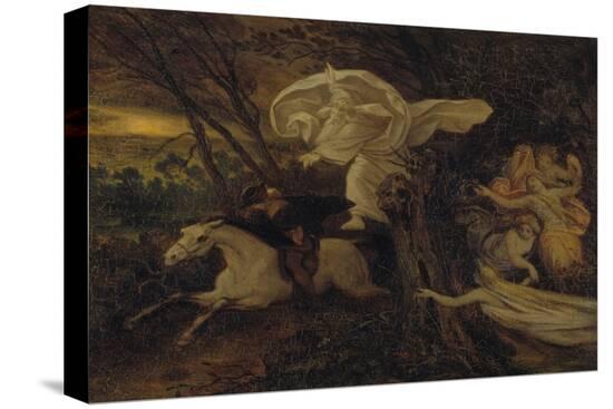 Stretched Canvas Print, , large