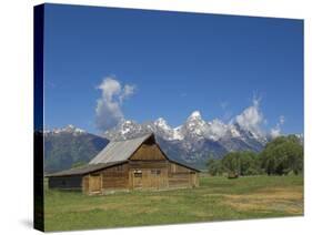 Mormon Row Barn and a Bison, Jackson Hole, Grand Teton National Park, Wyoming, USA-Neale Clarke-Stretched Canvas
