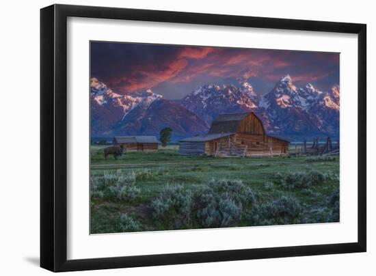 Mormon Row Barn Sunrise-Galloimages Online-Framed Premium Photographic Print