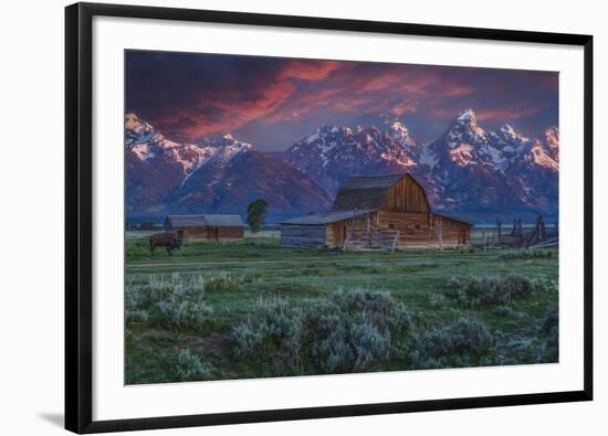 Mormon Row Barn Sunrise-Galloimages Online-Framed Photographic Print