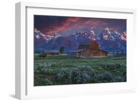 Mormon Row Barn Sunrise-Galloimages Online-Framed Photographic Print