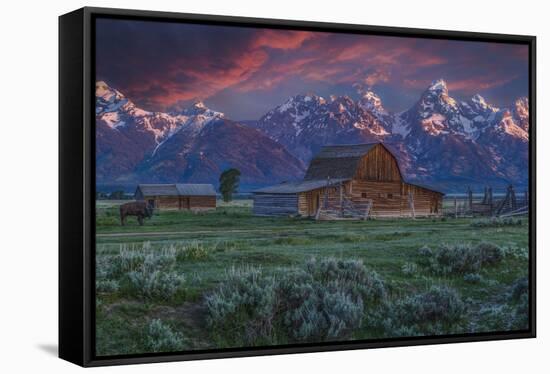 Mormon Row Barn Sunrise-Galloimages Online-Framed Stretched Canvas