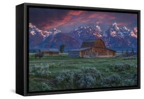 Mormon Row Barn Sunrise-Galloimages Online-Framed Stretched Canvas