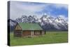 Mormon Row Log Cabin-Galloimages Online-Stretched Canvas