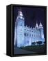 Mormon Salt Lake Temple at Night, Salt Lake City, Utah, USA-Dennis Flaherty-Framed Stretched Canvas