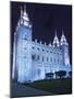 Mormon Salt Lake Temple at Night, Salt Lake City, Utah, USA-Dennis Flaherty-Mounted Photographic Print