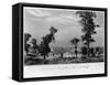 Mormon Settlement in Iowa-null-Framed Stretched Canvas