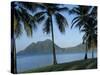 Morne Larcher, Baie De La Chery (Chery Bay), Martinique, West Indies, Caribbean, Central America-Guy Thouvenin-Stretched Canvas