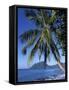 Morne Larcher, Baie De La Chery (Chery Bay), Martinique, West Indies, Caribbean, Central America-Guy Thouvenin-Framed Stretched Canvas