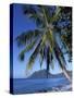 Morne Larcher, Baie De La Chery (Chery Bay), Martinique, West Indies, Caribbean, Central America-Guy Thouvenin-Stretched Canvas