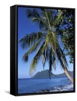 Morne Larcher, Baie De La Chery (Chery Bay), Martinique, West Indies, Caribbean, Central America-Guy Thouvenin-Framed Stretched Canvas