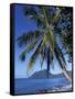 Morne Larcher, Baie De La Chery (Chery Bay), Martinique, West Indies, Caribbean, Central America-Guy Thouvenin-Framed Stretched Canvas