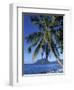 Morne Larcher, Baie De La Chery (Chery Bay), Martinique, West Indies, Caribbean, Central America-Guy Thouvenin-Framed Photographic Print