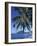 Morne Larcher, Baie De La Chery (Chery Bay), Martinique, West Indies, Caribbean, Central America-Guy Thouvenin-Framed Photographic Print