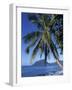 Morne Larcher, Baie De La Chery (Chery Bay), Martinique, West Indies, Caribbean, Central America-Guy Thouvenin-Framed Photographic Print