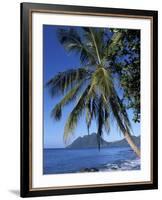 Morne Larcher, Baie De La Chery (Chery Bay), Martinique, West Indies, Caribbean, Central America-Guy Thouvenin-Framed Photographic Print