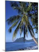 Morne Larcher, Baie De La Chery (Chery Bay), Martinique, West Indies, Caribbean, Central America-Guy Thouvenin-Mounted Photographic Print