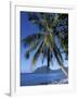 Morne Larcher, Baie De La Chery (Chery Bay), Martinique, West Indies, Caribbean, Central America-Guy Thouvenin-Framed Photographic Print