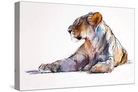 Morning, 2019, (pastel on paper)-Mark Adlington-Stretched Canvas