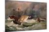 Morning after a Heavy Gale-Edward William Cooke-Mounted Giclee Print