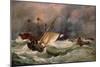 Morning after a Heavy Gale-Edward William Cooke-Mounted Giclee Print