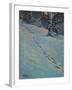 Morning after Snow, High Park-J. E. H. MacDonald-Framed Giclee Print