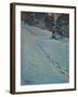 Morning after Snow, High Park-J. E. H. MacDonald-Framed Giclee Print