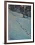 Morning after Snow, High Park-J. E. H. MacDonald-Framed Giclee Print