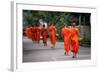 Morning Alms II-Erin Berzel-Framed Photographic Print