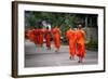 Morning Alms II-Erin Berzel-Framed Photographic Print