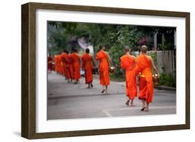 Morning Alms II-Erin Berzel-Framed Photographic Print