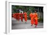 Morning Alms II-Erin Berzel-Framed Photographic Print