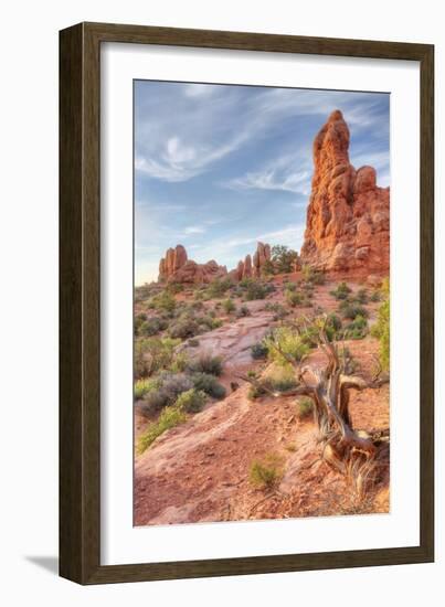 Morning Among Sandstone, Southern Utah-Vincent James-Framed Photographic Print