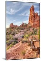 Morning Among Sandstone, Southern Utah-Vincent James-Mounted Photographic Print