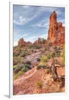 Morning Among Sandstone, Southern Utah-Vincent James-Framed Photographic Print