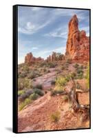 Morning Among Sandstone, Southern Utah-Vincent James-Framed Stretched Canvas