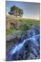 Morning at a Table Mountain Stream, Northern California-Vincent James-Mounted Photographic Print