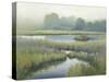 Morning at Edmonds Marsh-David Marty-Stretched Canvas