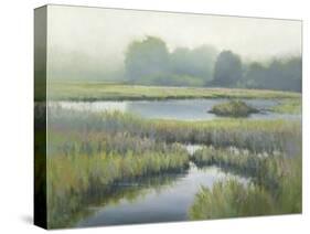 Morning at Edmonds Marsh-David Marty-Stretched Canvas