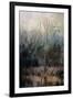 Morning at Fairground Swamp-Jai Johnson-Framed Giclee Print