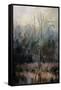 Morning at Fairground Swamp-Jai Johnson-Framed Stretched Canvas