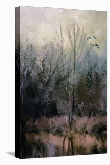 Morning at Fairground Swamp-Jai Johnson-Stretched Canvas