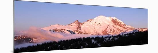 Morning at Mount Rainier-Douglas Taylor-Mounted Art Print