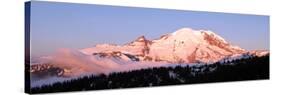 Morning at Mount Rainier-Douglas Taylor-Stretched Canvas