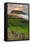 Morning at Point Sur Lighthouse-Vincent James-Framed Stretched Canvas