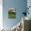 Morning at Point Sur Lighthouse-Vincent James-Mounted Photographic Print displayed on a wall